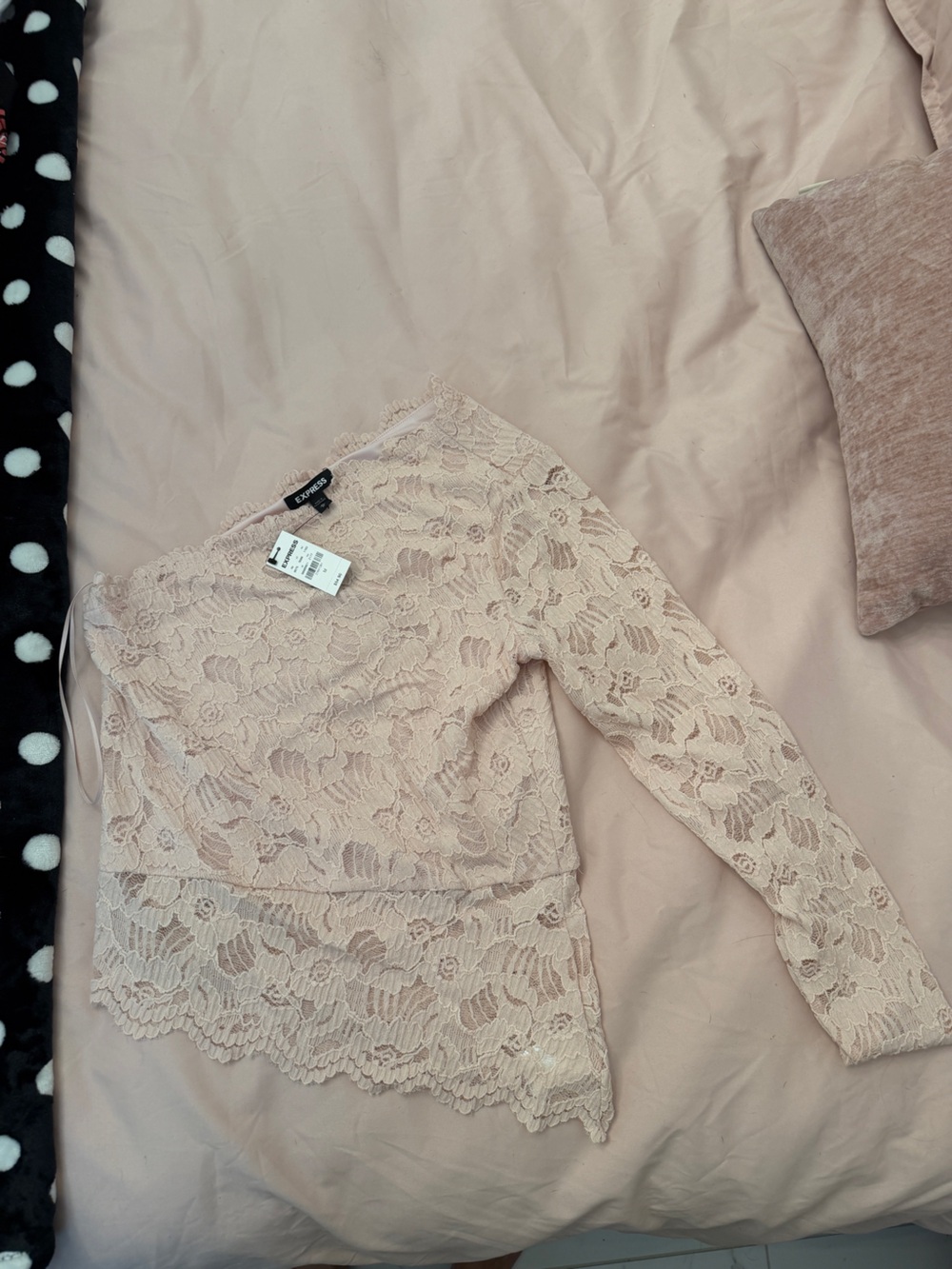 Express Blush Floral Lace Long-Sleeve Top
